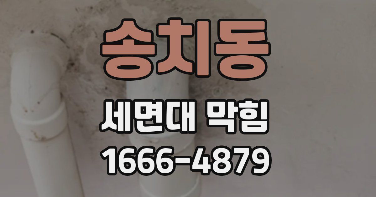 송치동 세면대 막힘