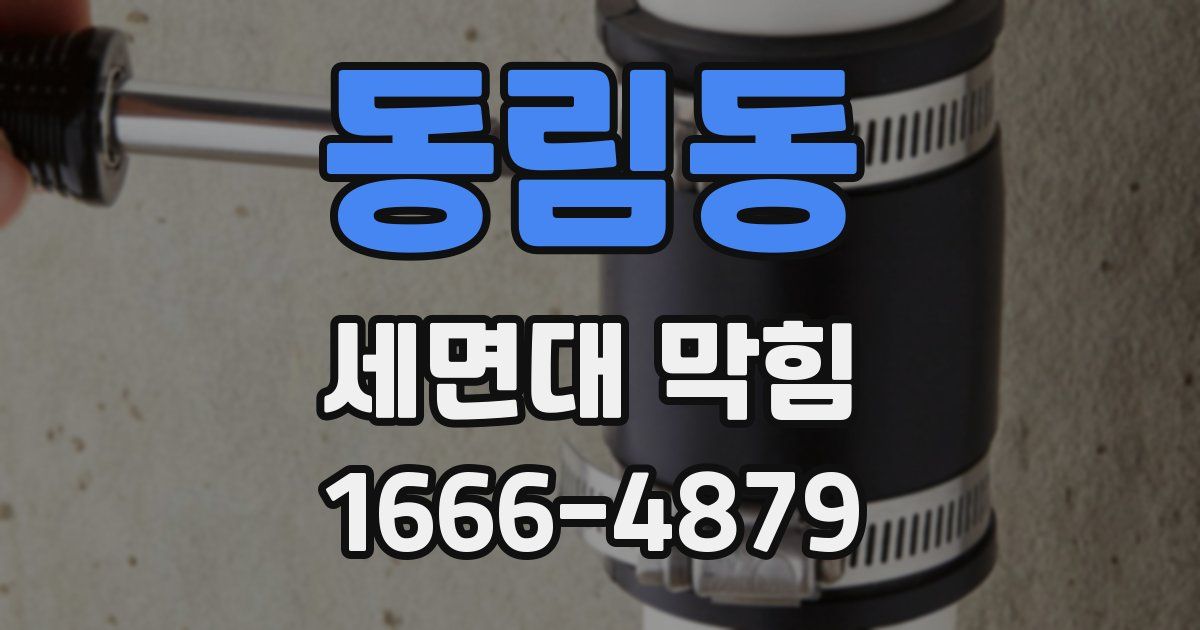 동림동 세면대 막힘