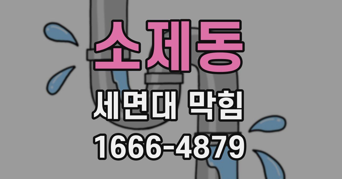 소제동 세면대 막힘