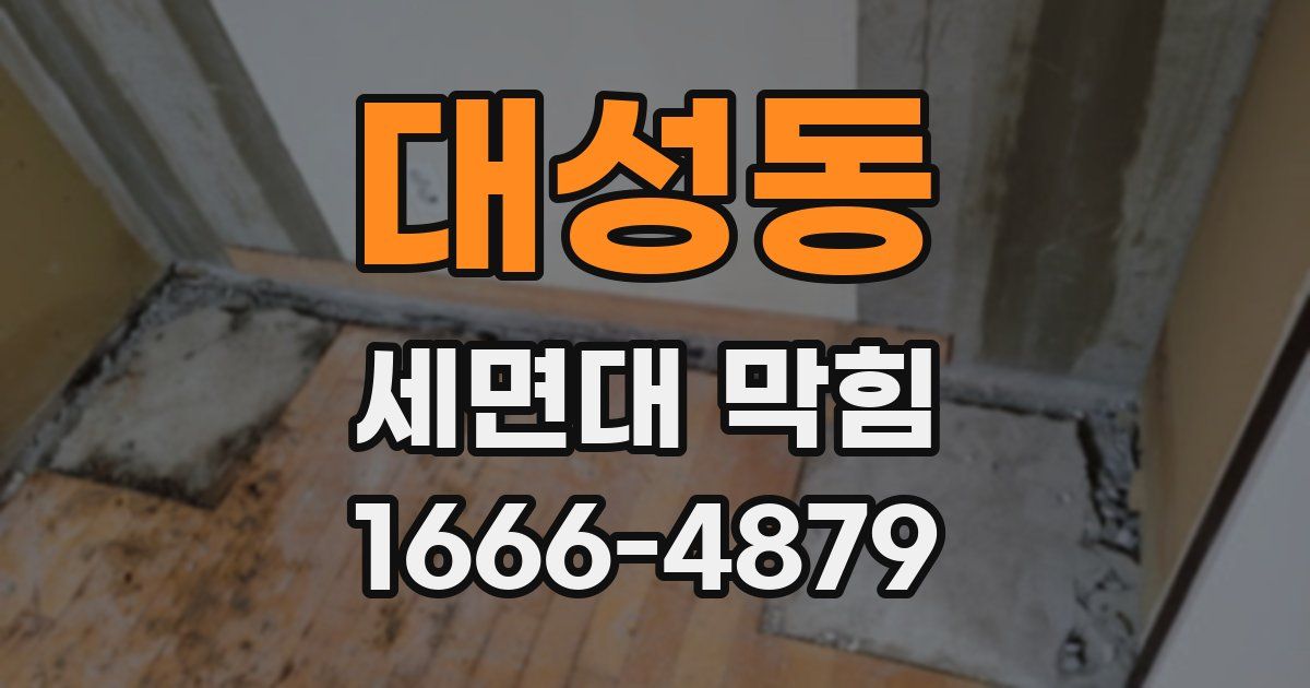 대성동 세면대 막힘