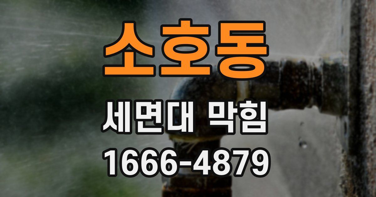 소호동 세면대 막힘
