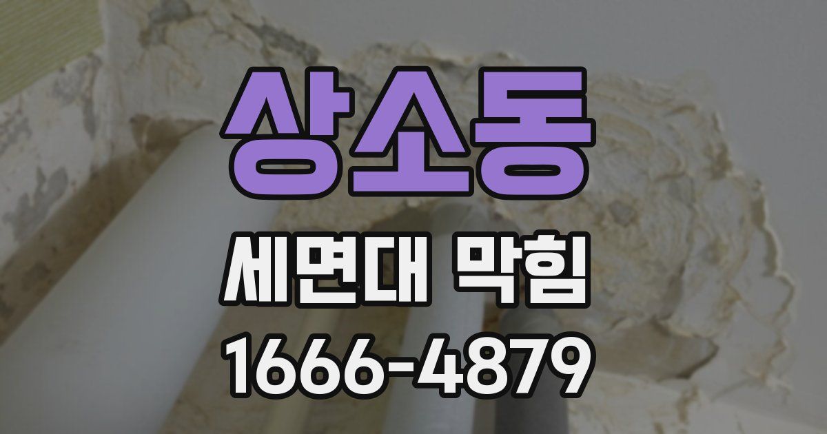 상소동 세면대 막힘