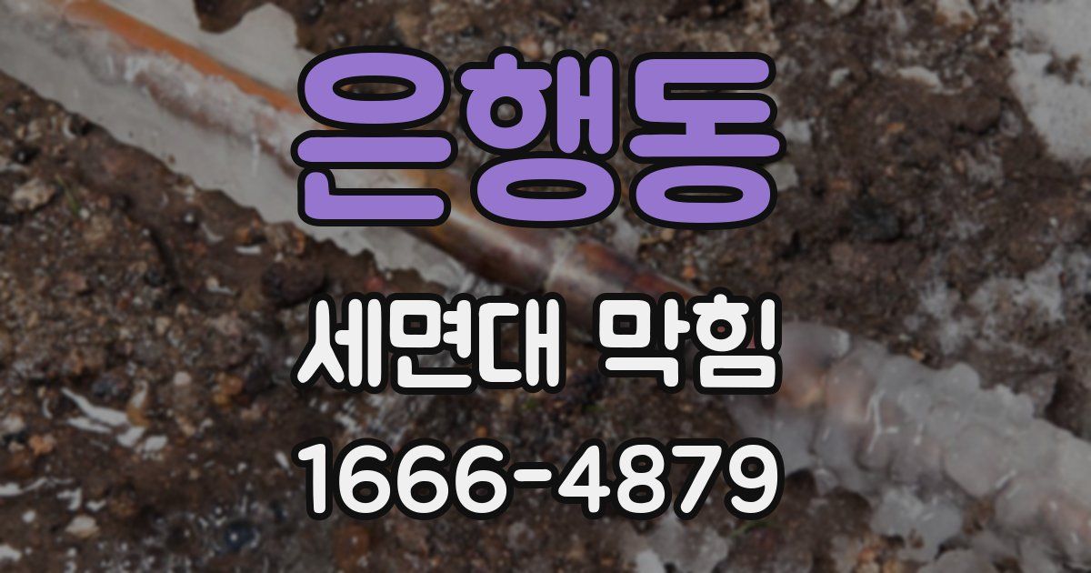 은행동 세면대 막힘