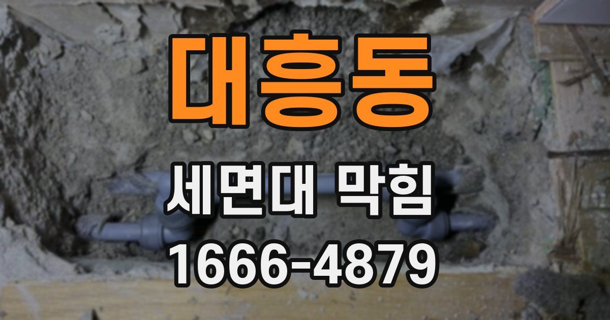대흥동 세면대 막힘