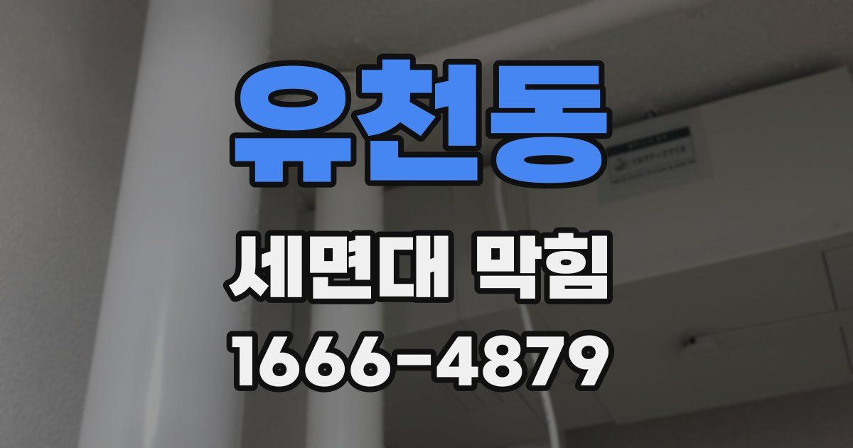 유천동 세면대 막힘