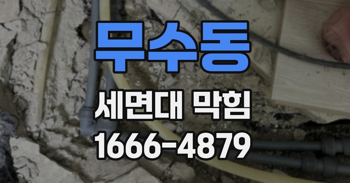 무수동 세면대 막힘