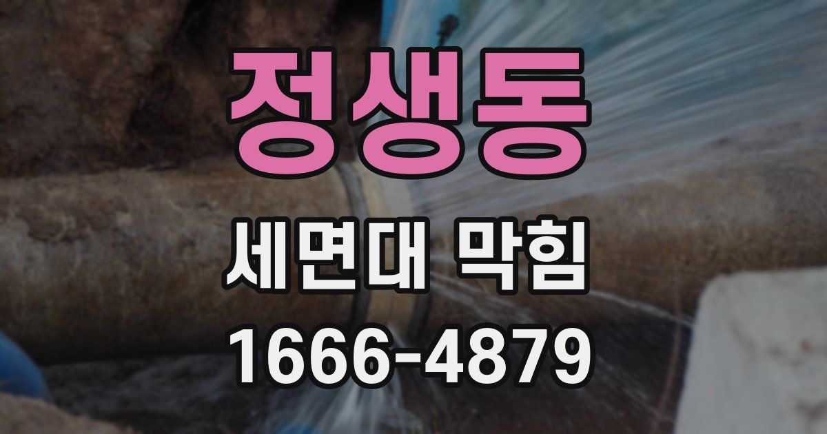정생동 세면대 막힘