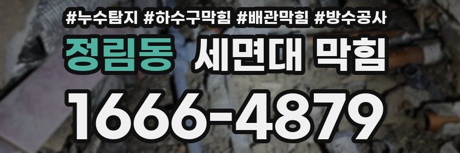 정림동 세면대 막힘