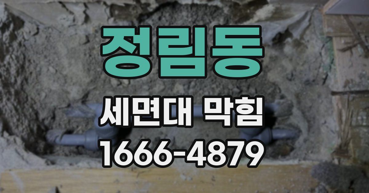 정림동 세면대 막힘