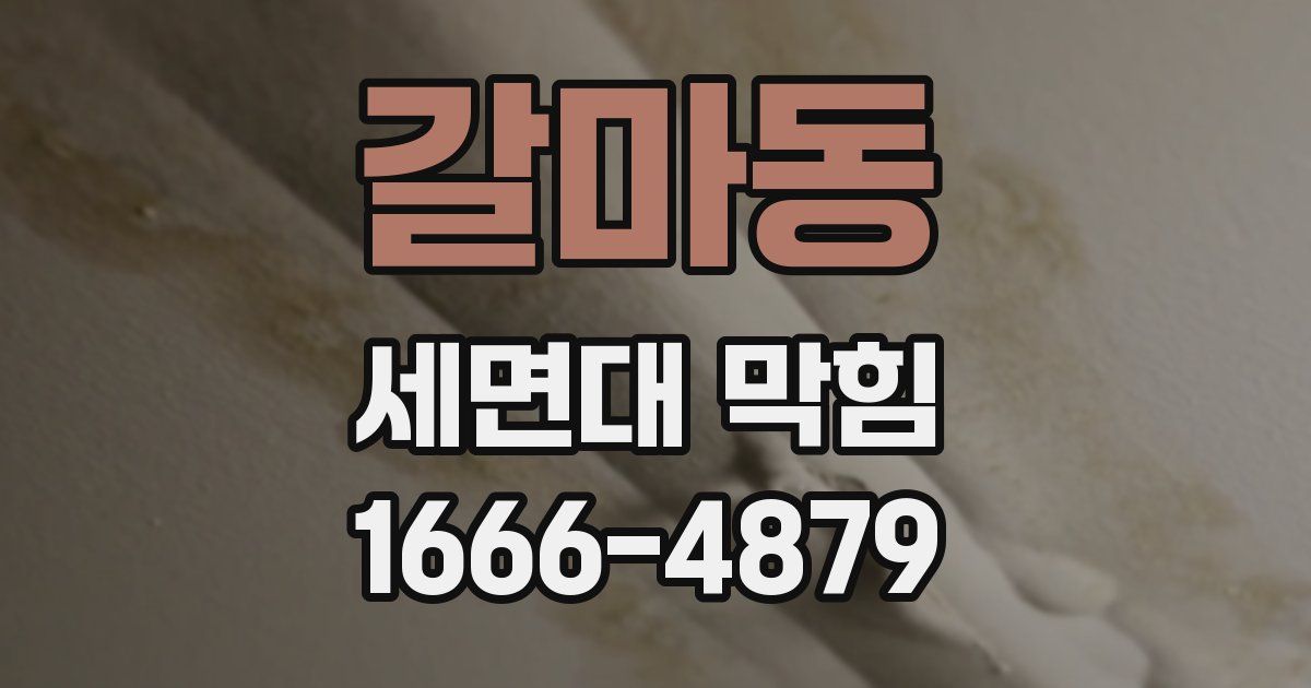 갈마동 세면대 막힘