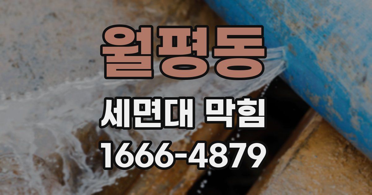 월평동 세면대 막힘