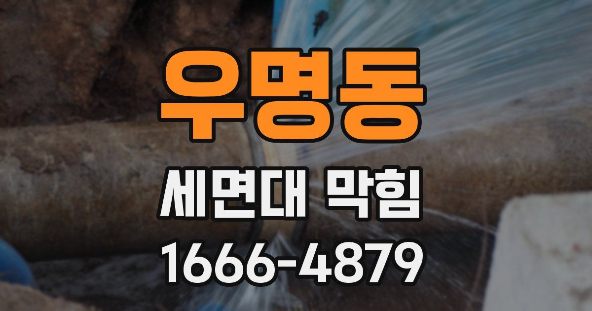 우명동 세면대 막힘