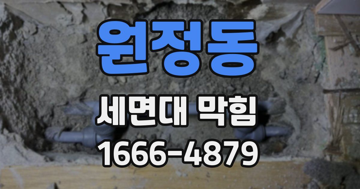 원정동 세면대 막힘