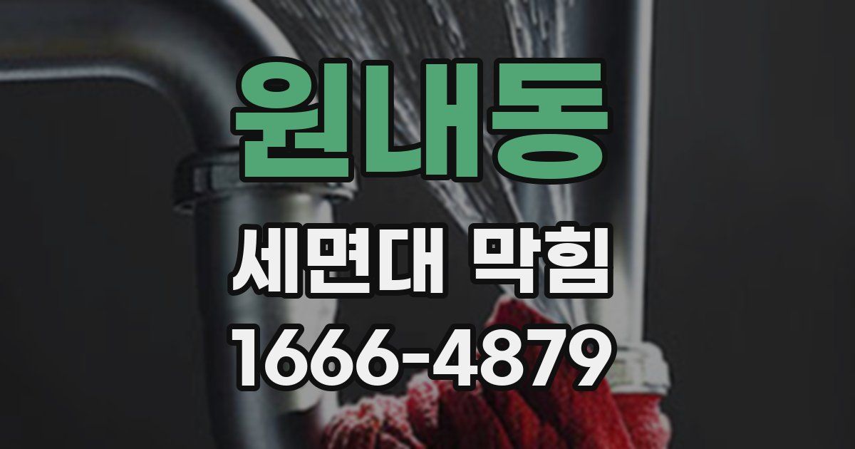 원내동 세면대 막힘