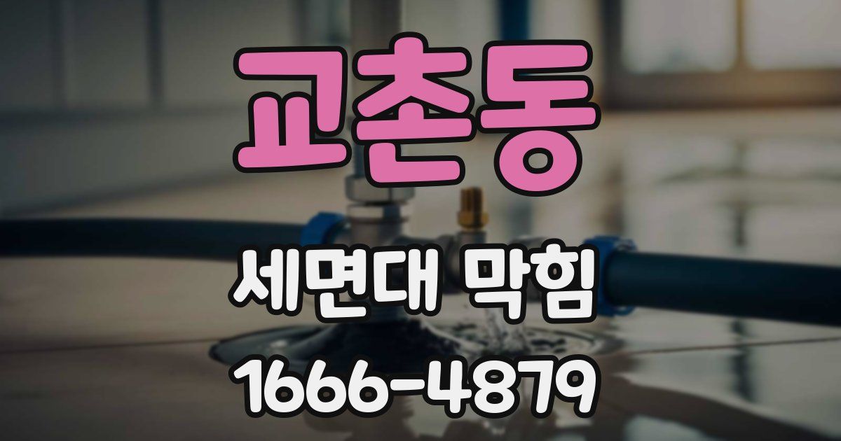 교촌동 세면대 막힘
