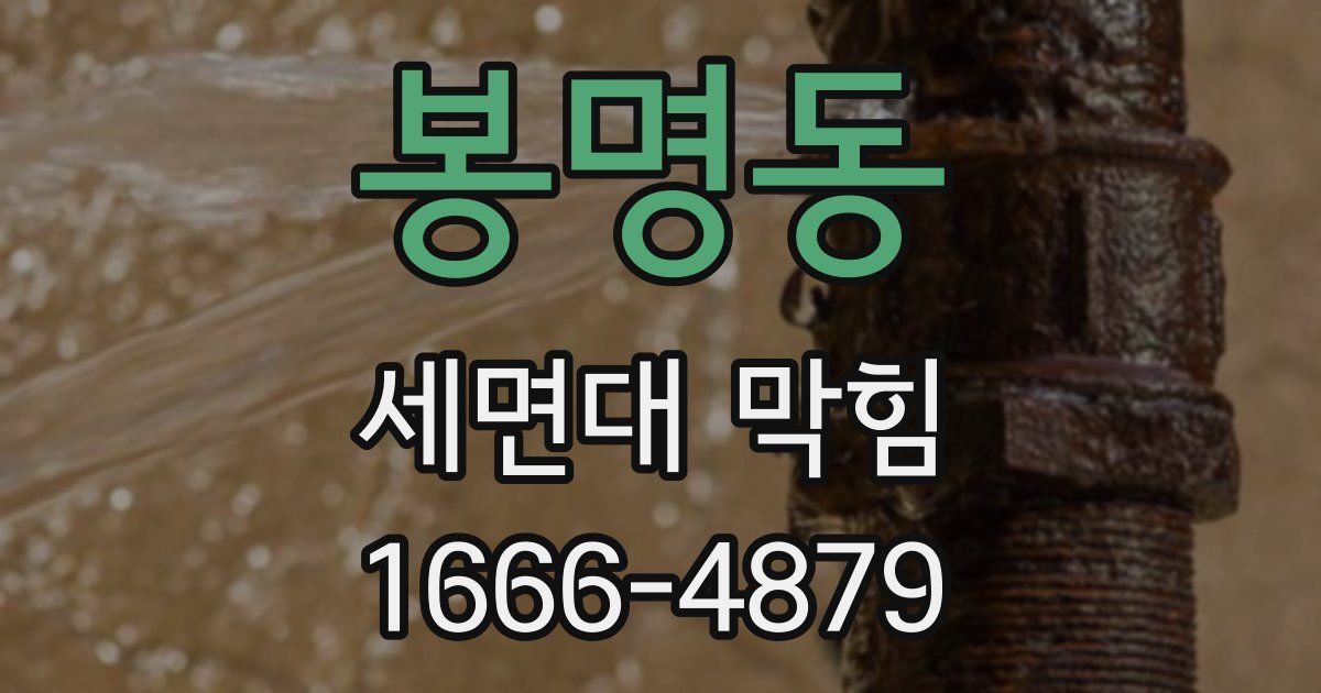 봉명동 세면대 막힘
