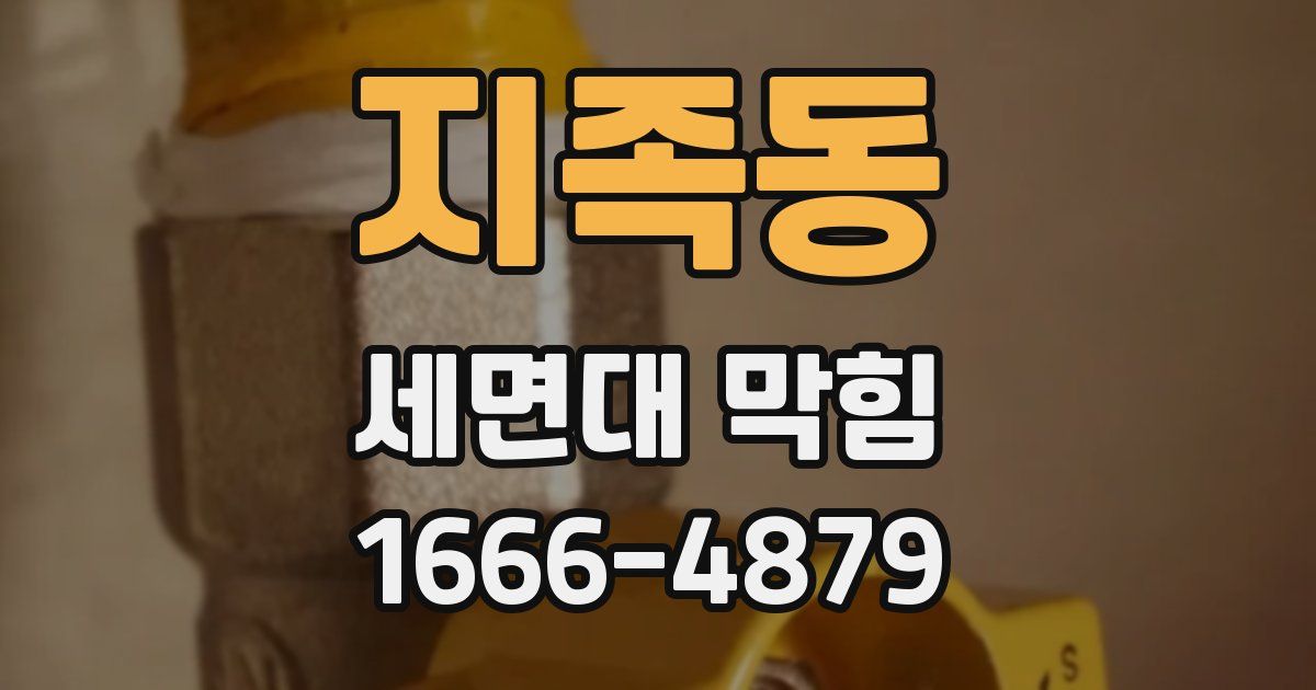 지족동 세면대 막힘