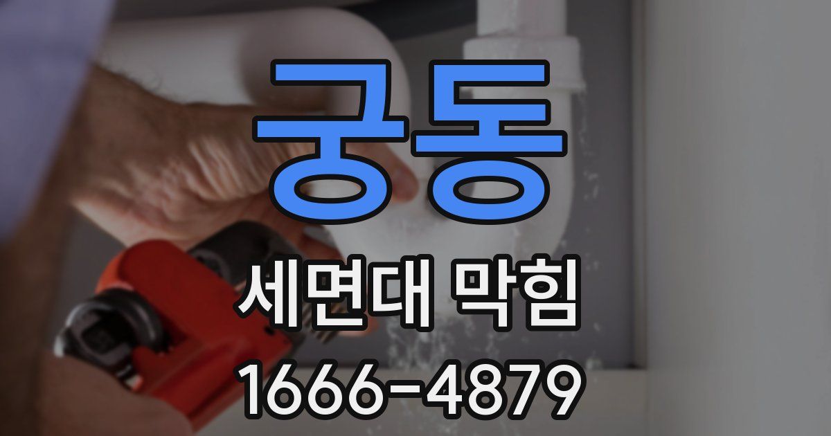 궁동 세면대 막힘