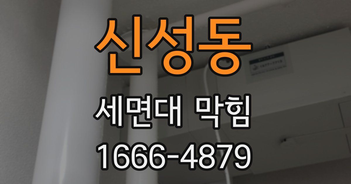 신성동 세면대 막힘