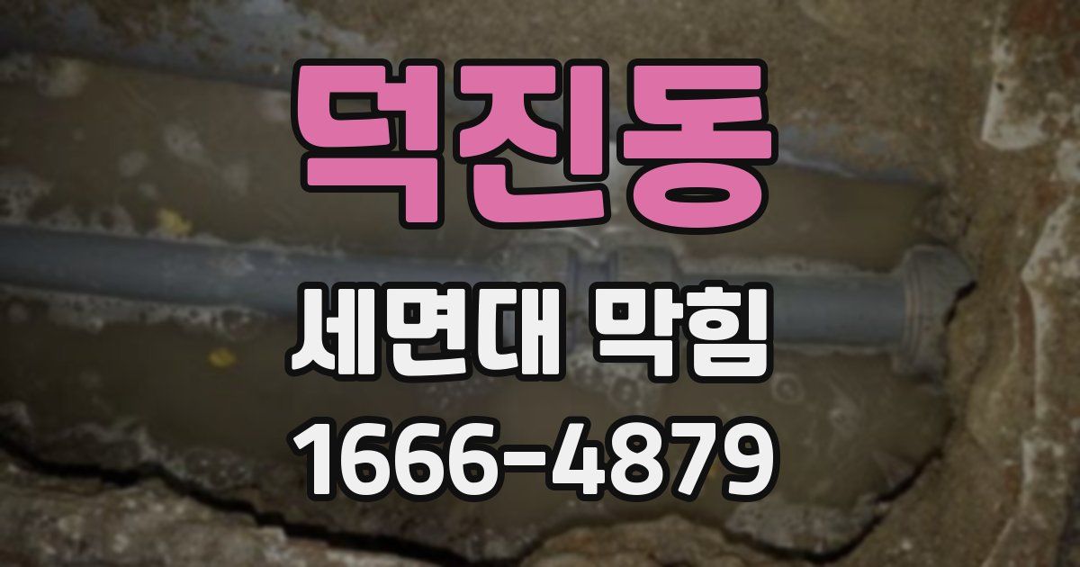 덕진동 세면대 막힘