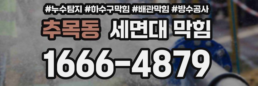 추목동 세면대 막힘