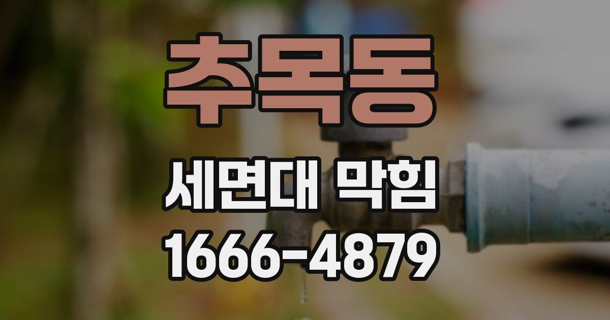 추목동 세면대 막힘