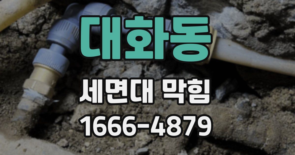 대화동 세면대 막힘