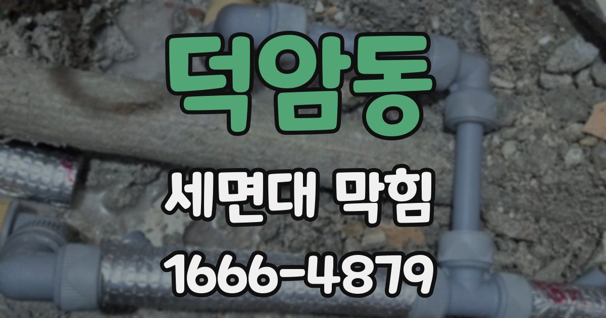 덕암동 세면대 막힘