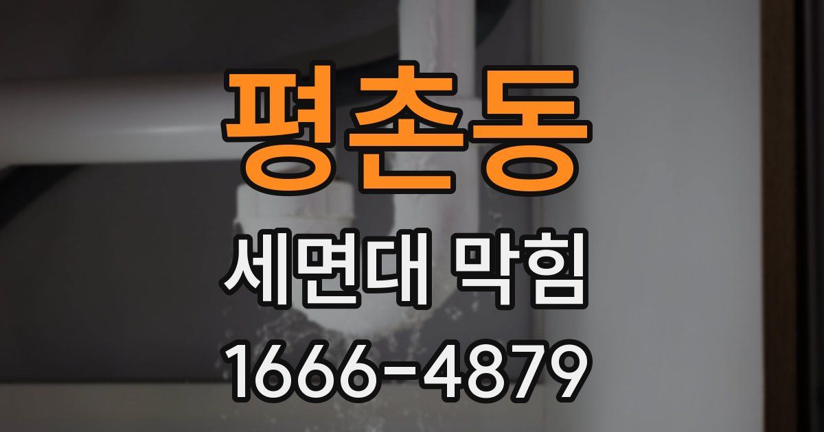 평촌동 세면대 막힘