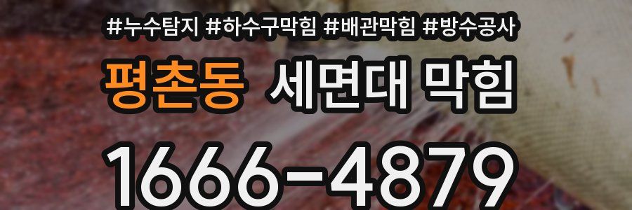 평촌동 세면대 막힘