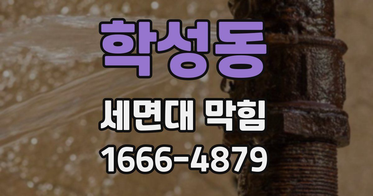 학성동 세면대 막힘