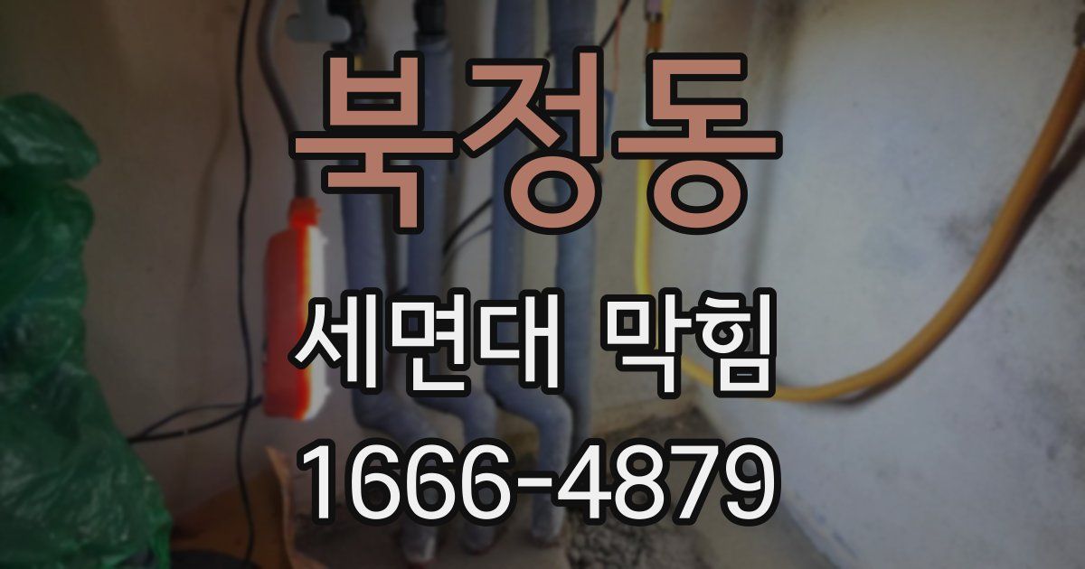 북정동 세면대 막힘