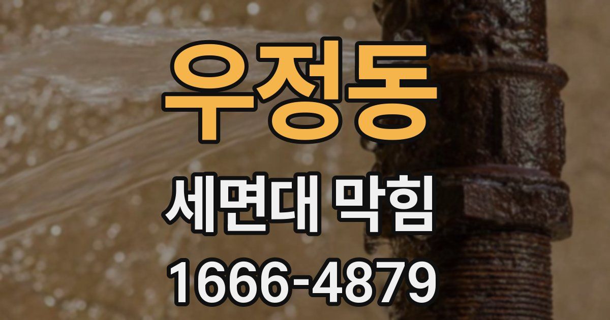 우정동 세면대 막힘