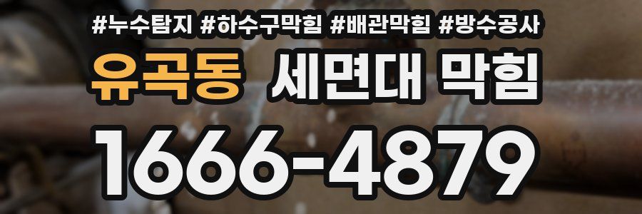 유곡동 세면대 막힘