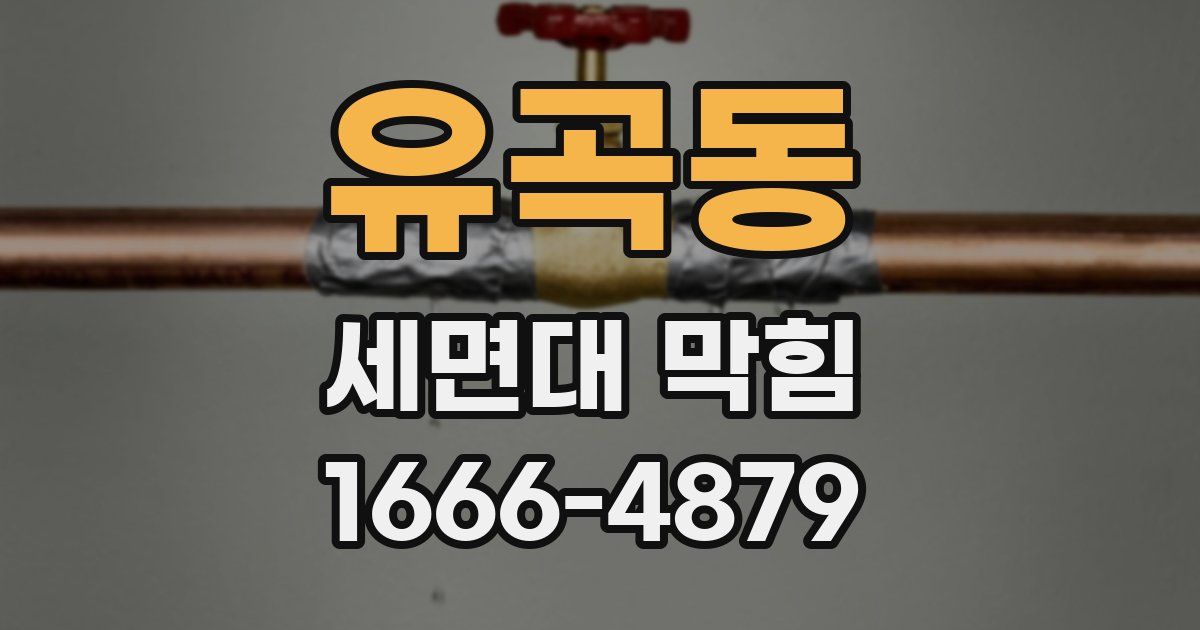 유곡동 세면대 막힘