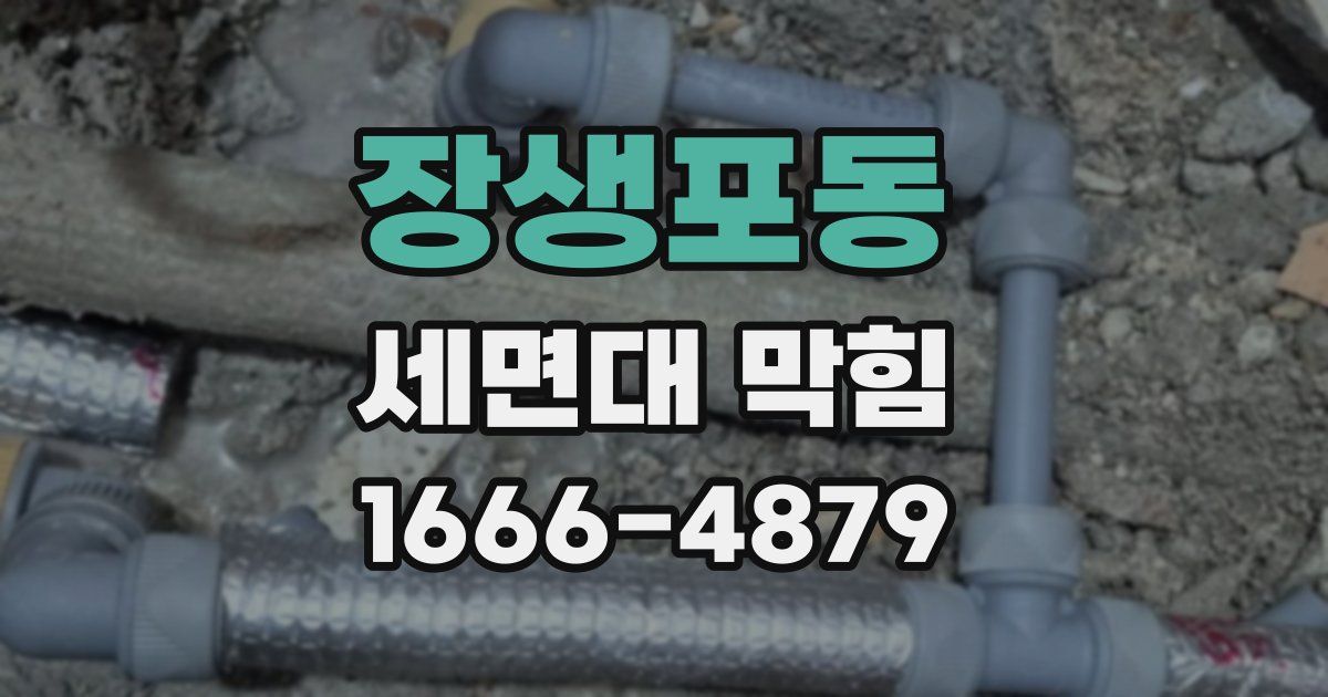 장생포동 세면대 막힘