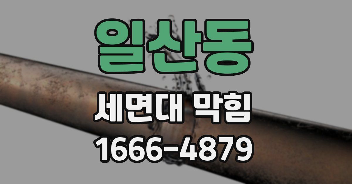 일산동 세면대 막힘