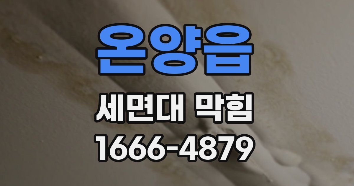 온양읍 세면대 막힘