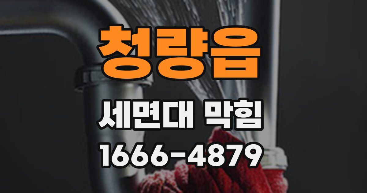 청량읍 세면대 막힘