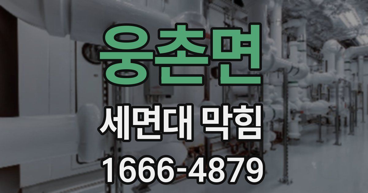 웅촌면 세면대 막힘