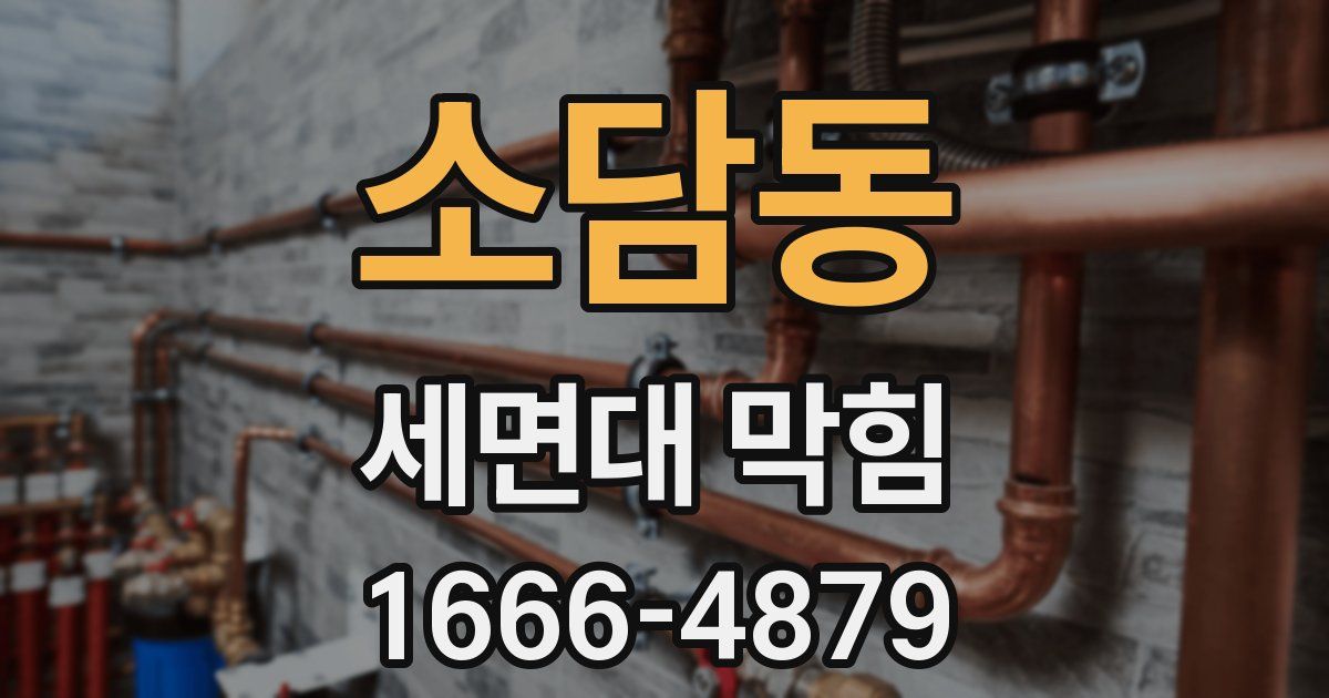 소담동 세면대 막힘