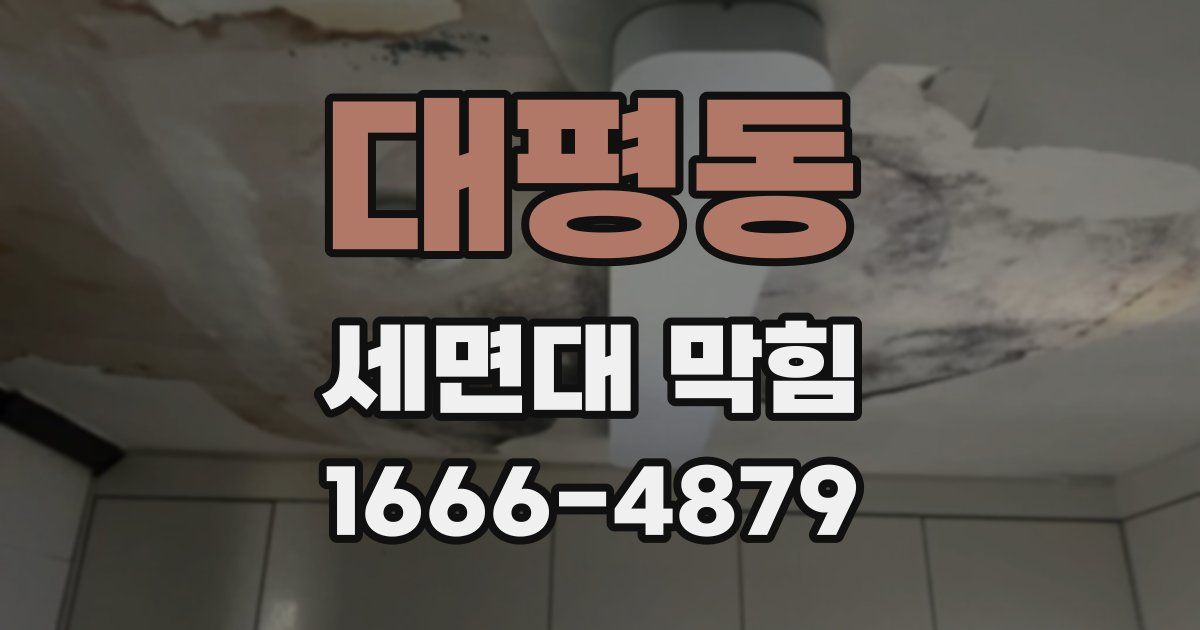 대평동 세면대 막힘