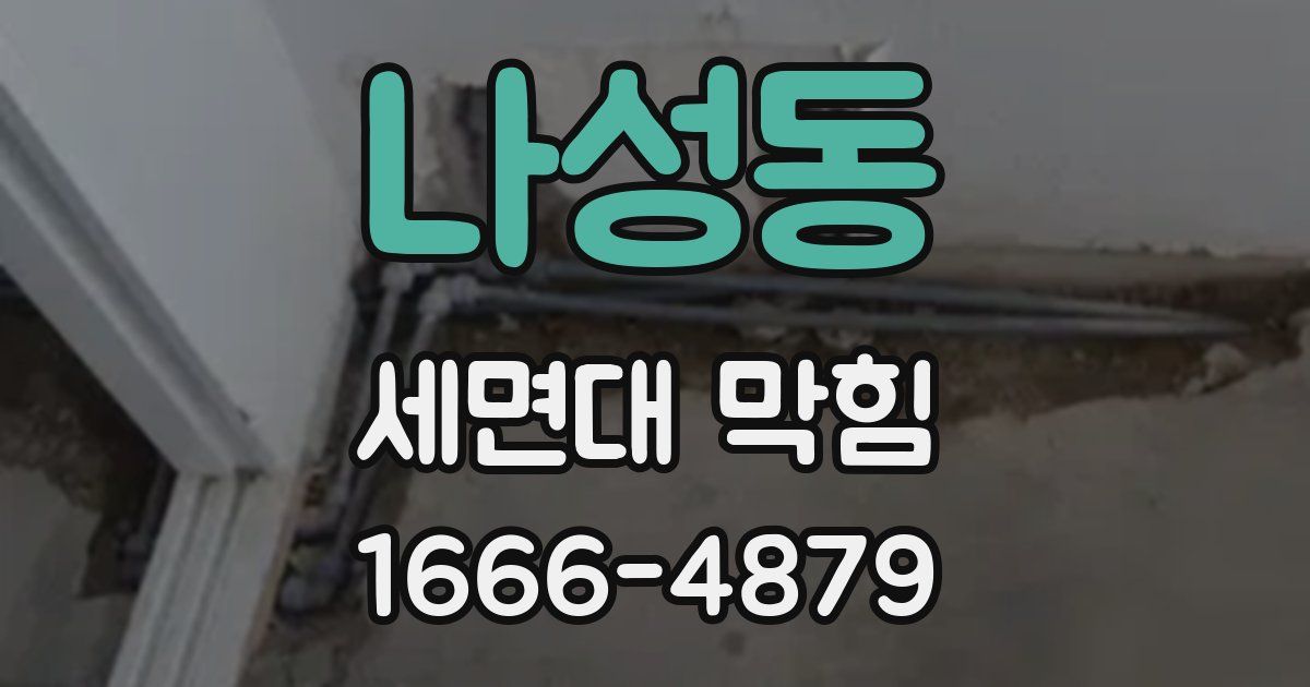 나성동 세면대 막힘