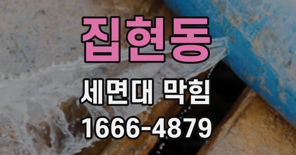집현동 세면대 막힘