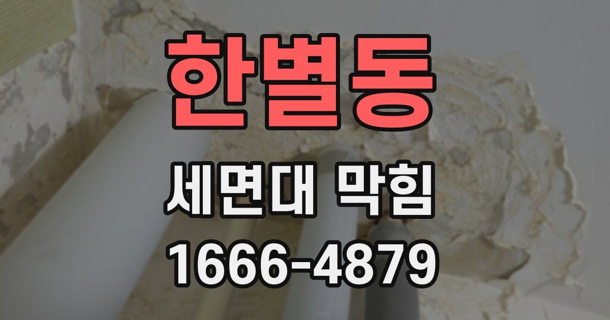 한별동 세면대 막힘