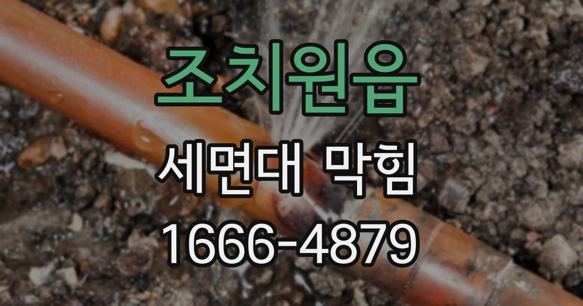 조치원읍 세면대 막힘