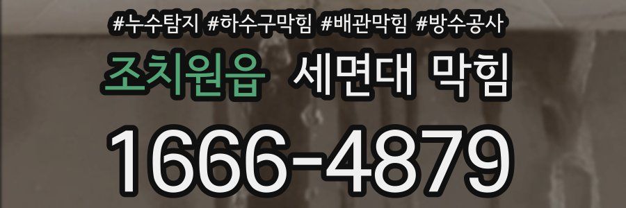 조치원읍 세면대 막힘