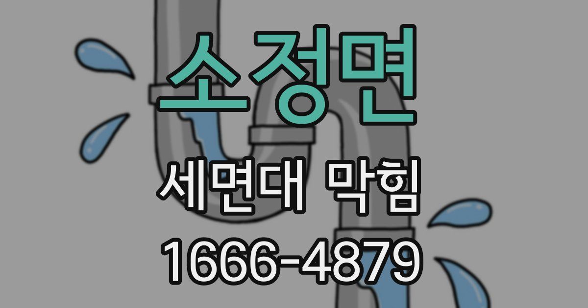소정면 세면대 막힘