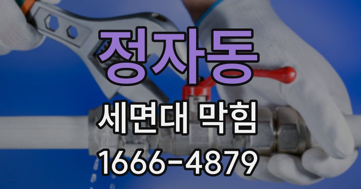 정자동 세면대 막힘
