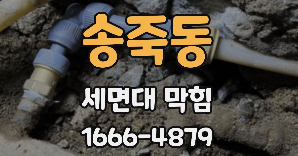 송죽동 세면대 막힘